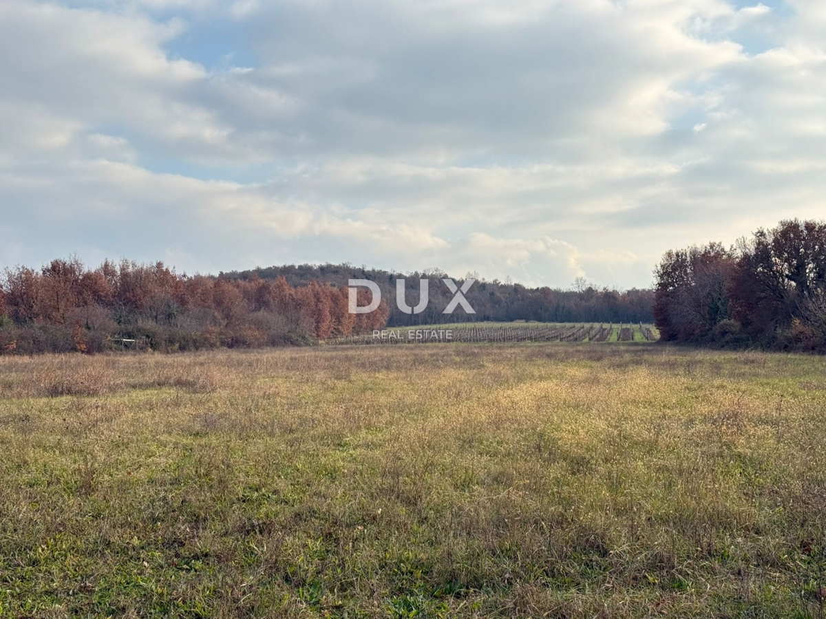 ISTRA, POREČ - Prostorno kmetijsko zemljišče