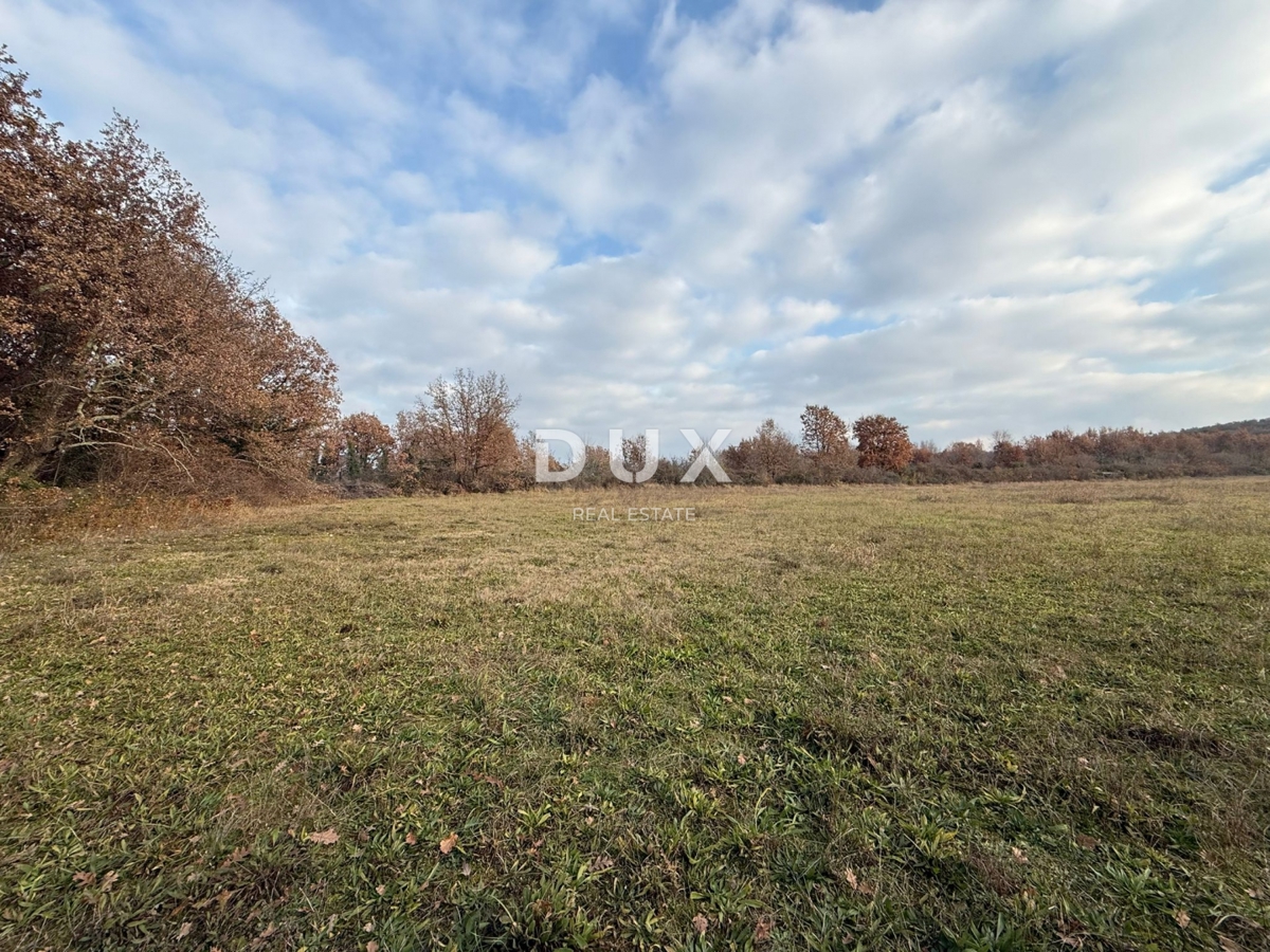 ISTRA, POREČ - Prostorno kmetijsko zemljišče