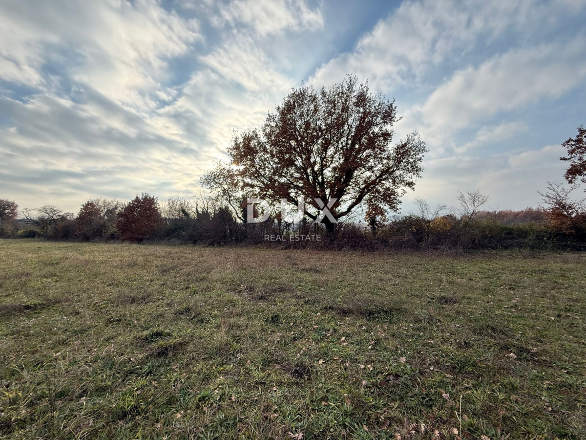ISTRA, POREČ - Prostorno kmetijsko zemljišče