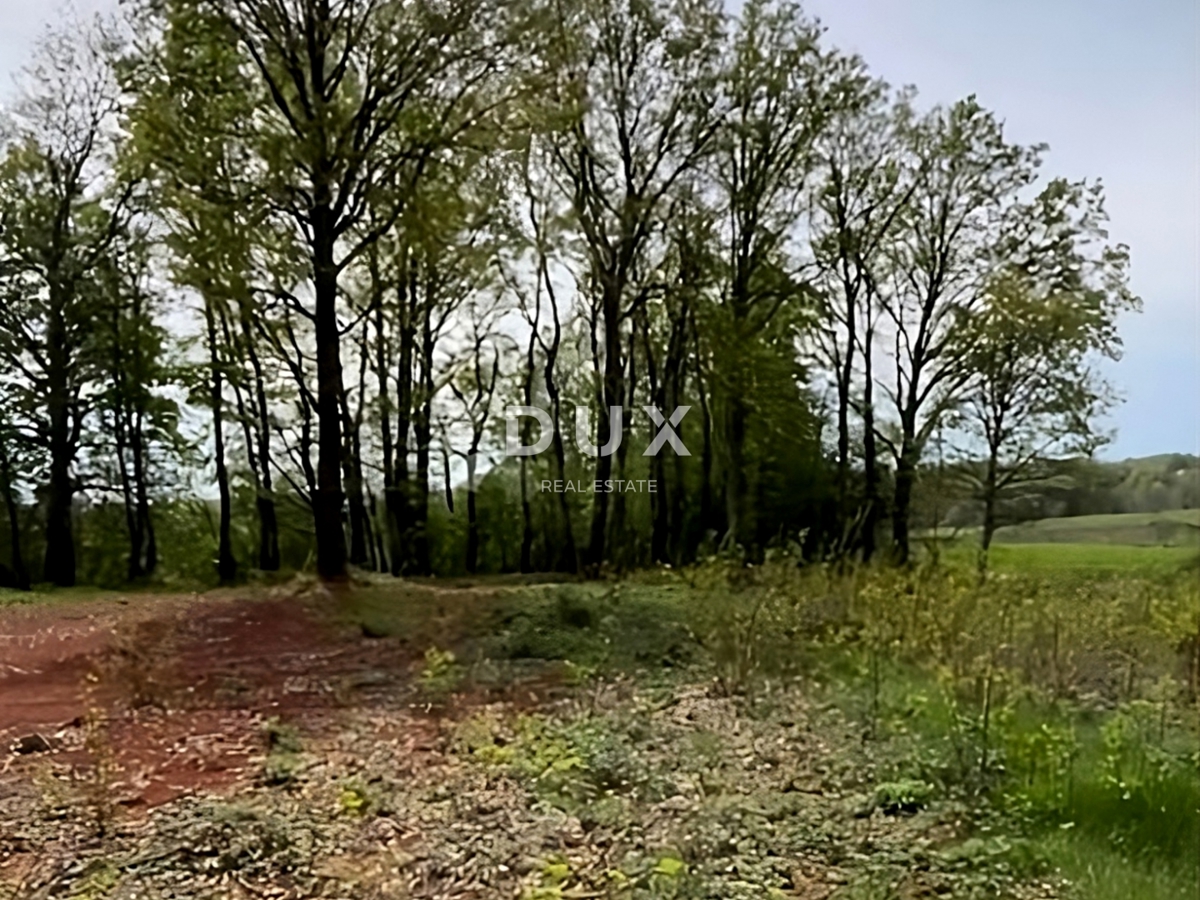 ISTRA, BARBAN - Zemljišče z gradbenim dovoljenjem