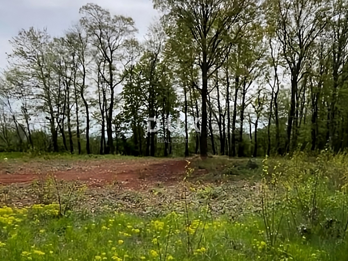 ISTRA, BARBAN - Zemljišče z gradbenim dovoljenjem