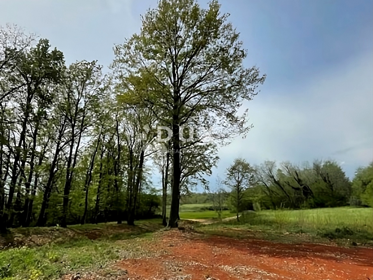 ISTRA, BARBAN - Zemljišče z gradbenim dovoljenjem