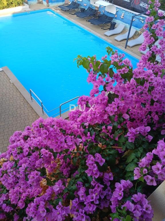 Hiša Novalja, 510m2