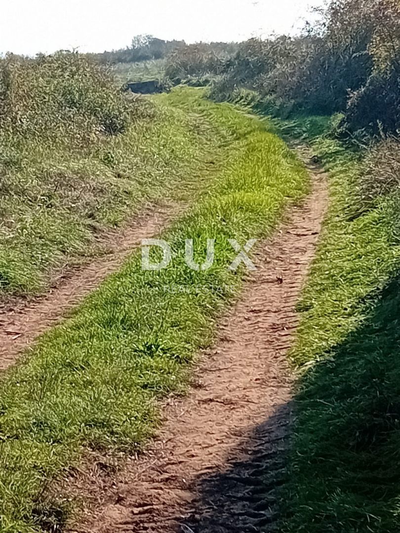 ZADAR, RAŠTANE DONJE - Kmetijsko zemljišče 5062 m2