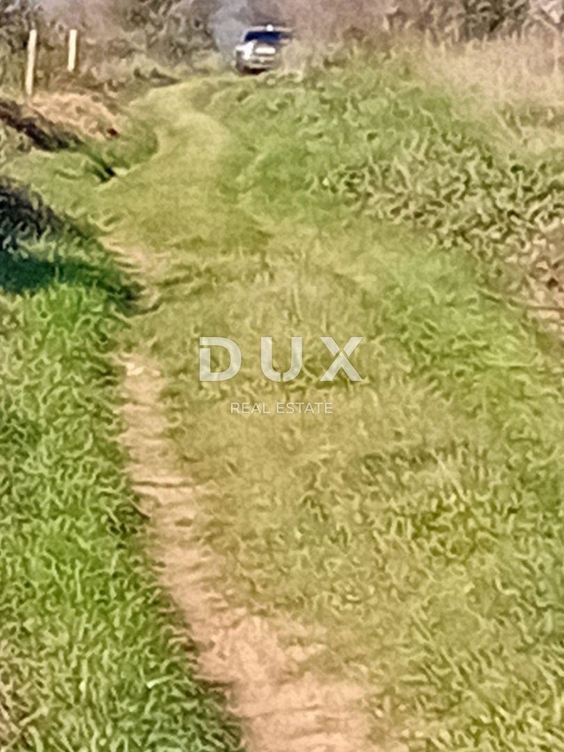 ZADAR, RAŠTANE DONJE - Kmetijsko zemljišče 5062 m2