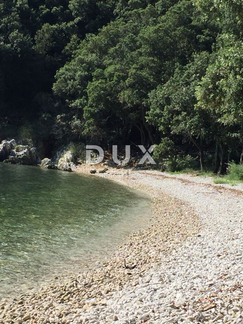 ISTRA, RABAC - Čarobno posestvo z dvema hišama v bližini morja