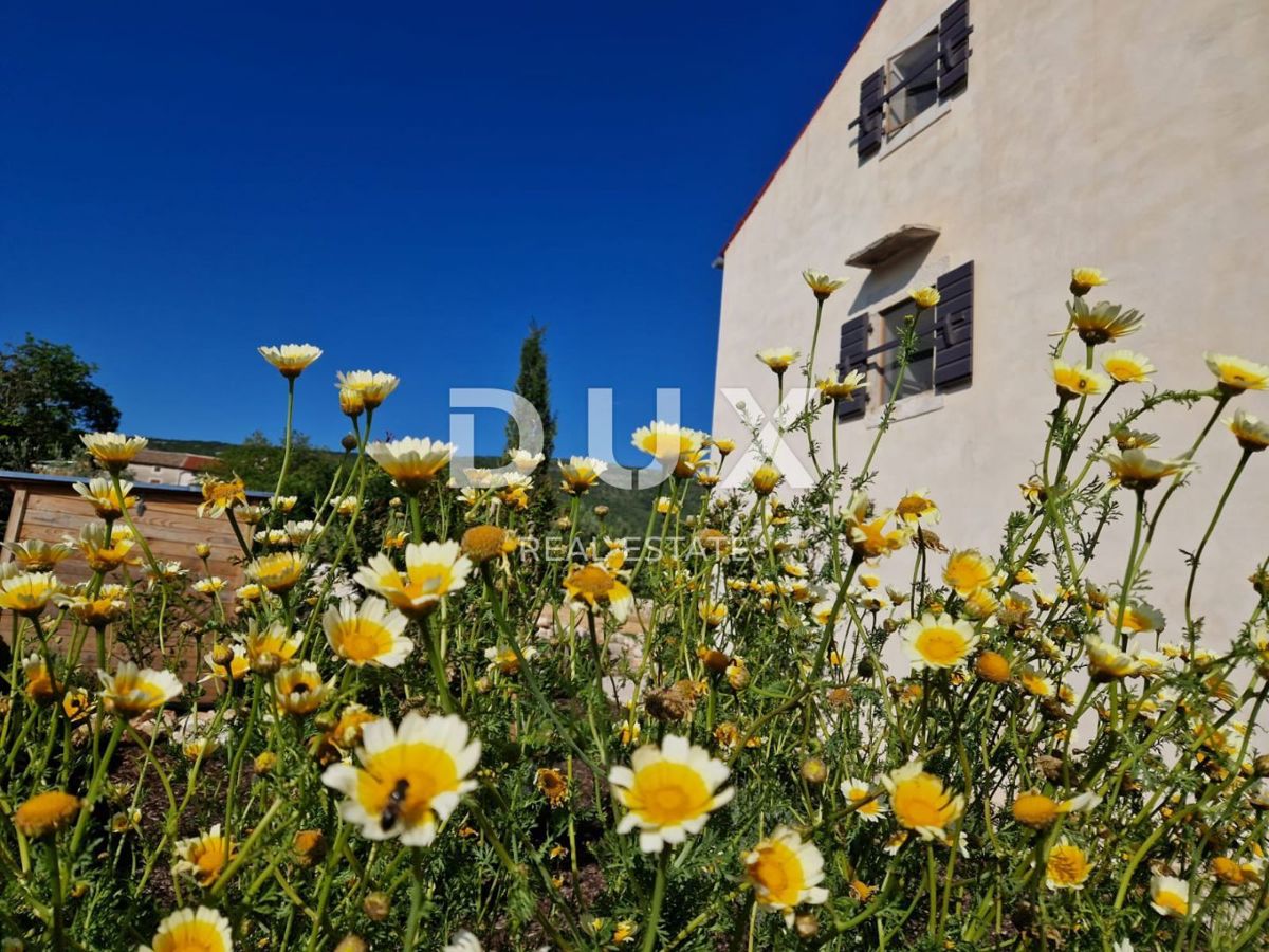 ISTRA, RABAC - Čarobno posestvo z dvema hišama v bližini morja