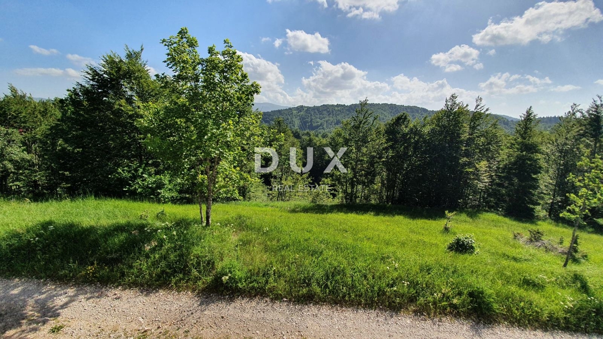 GORSKI KOTAR, STARI LAZ, veliko zemljišče za gradnjo hotela