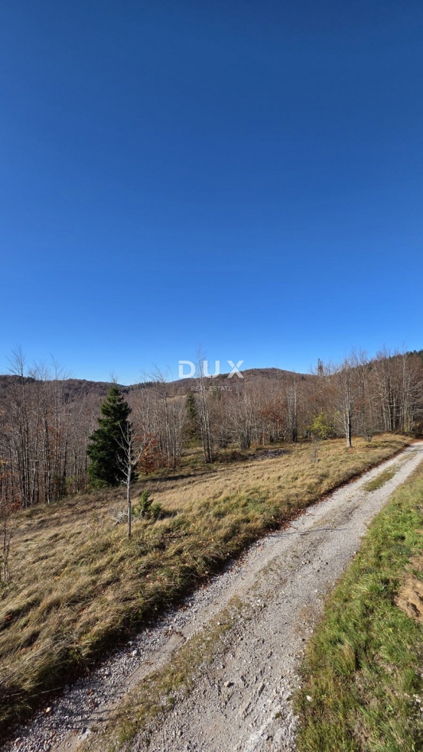 GORSKI KOTAR, STARI LAZ, veliko zemljišče za gradnjo hotela