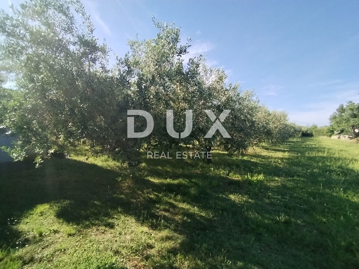 ISTRA, MEDULIN - Kmetijsko zemljišče z dvema legaliziranima objektoma!