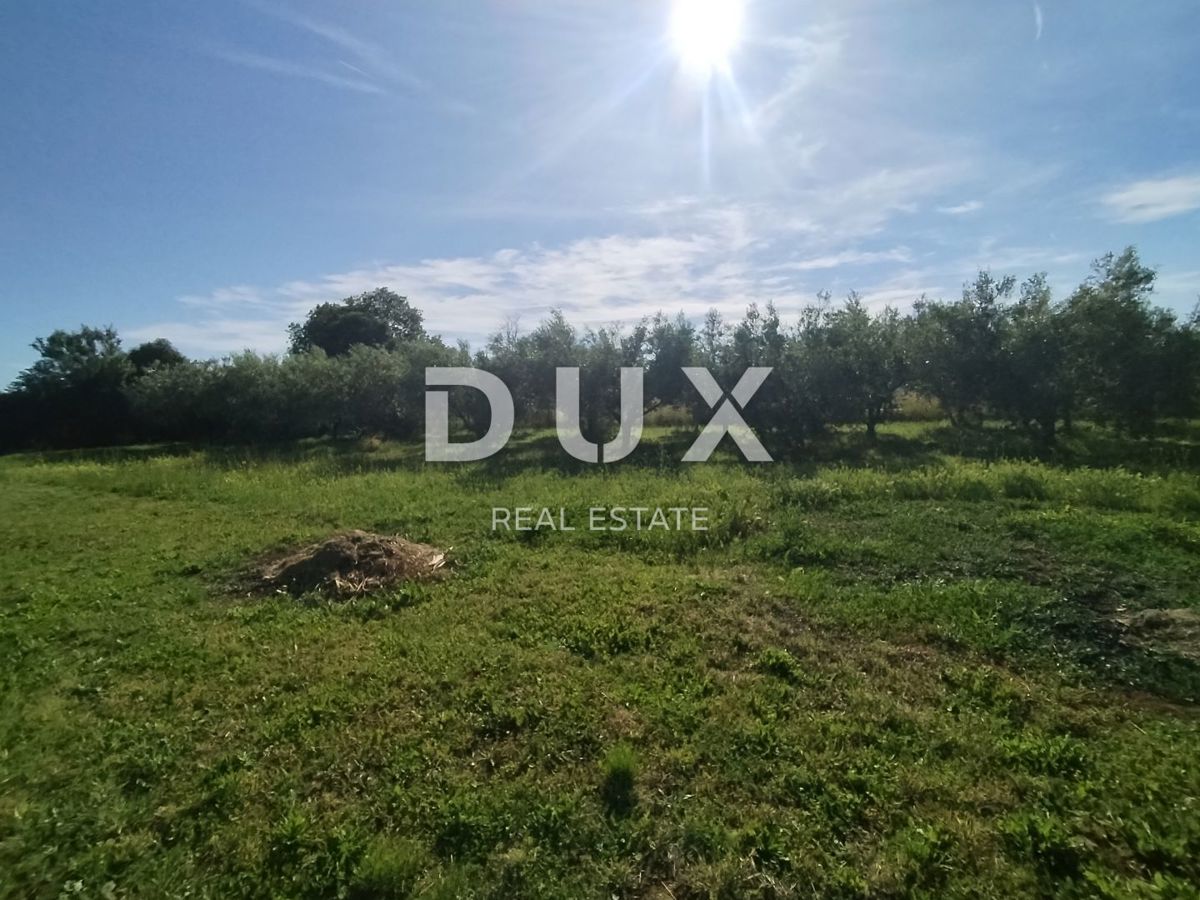 ISTRA, MEDULIN - Kmetijsko zemljišče z dvema legaliziranima objektoma!