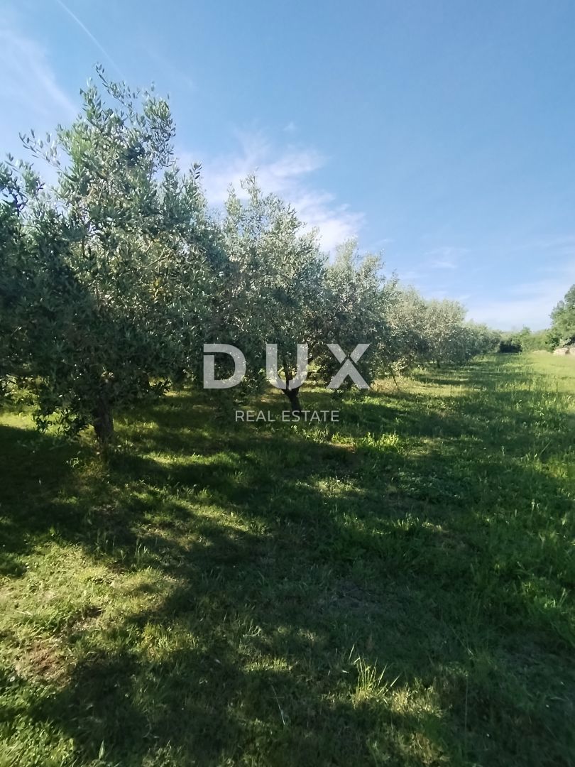 ISTRA, MEDULIN - Kmetijsko zemljišče z dvema legaliziranima objektoma!