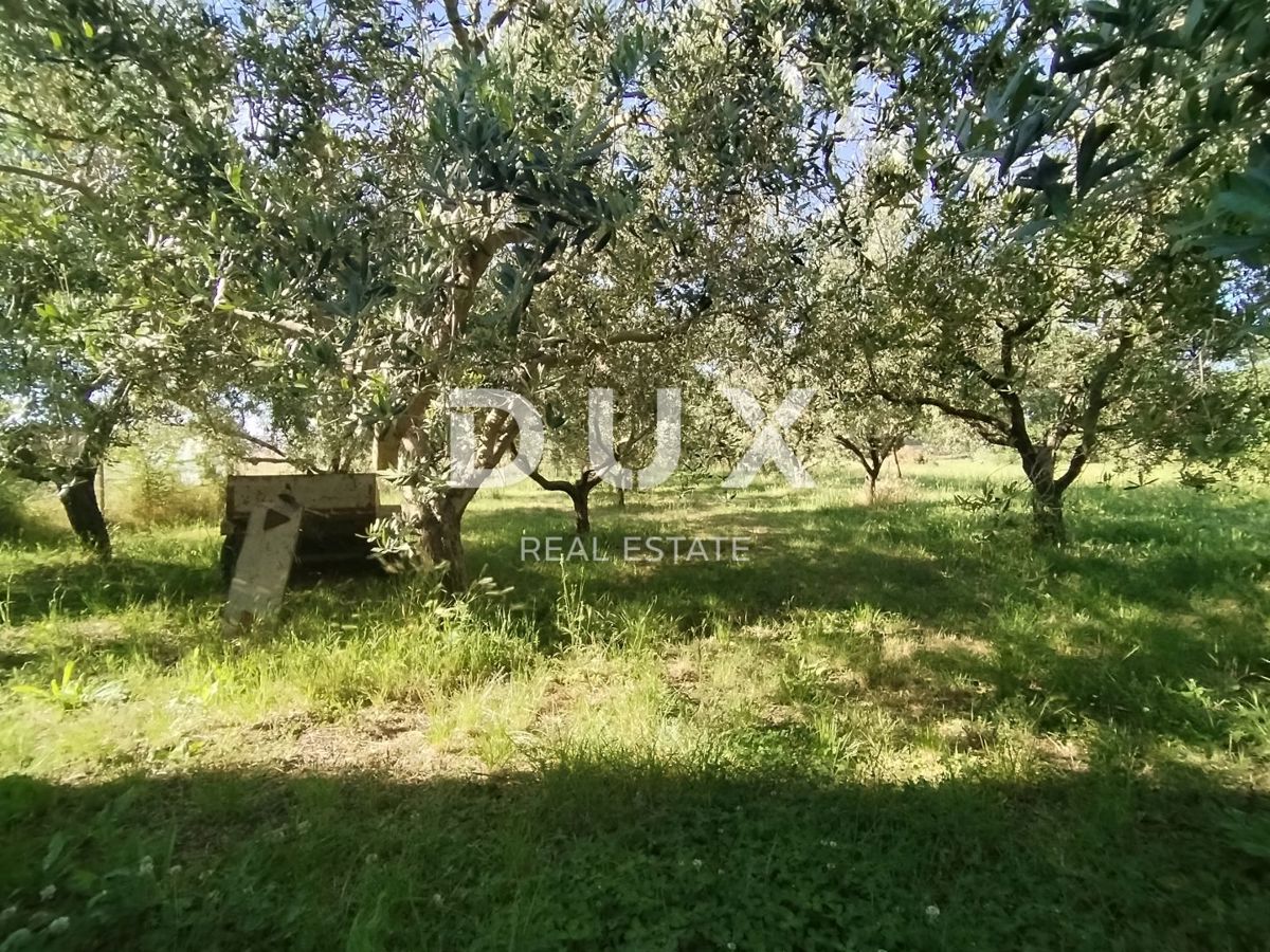 ISTRA, MEDULIN - Kmetijsko zemljišče z dvema legaliziranima objektoma!