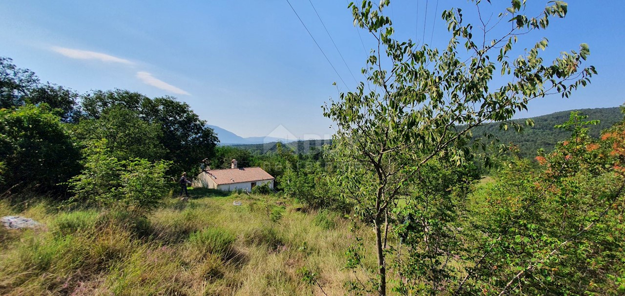 Šušnjevica, Kršan, 3.742m2