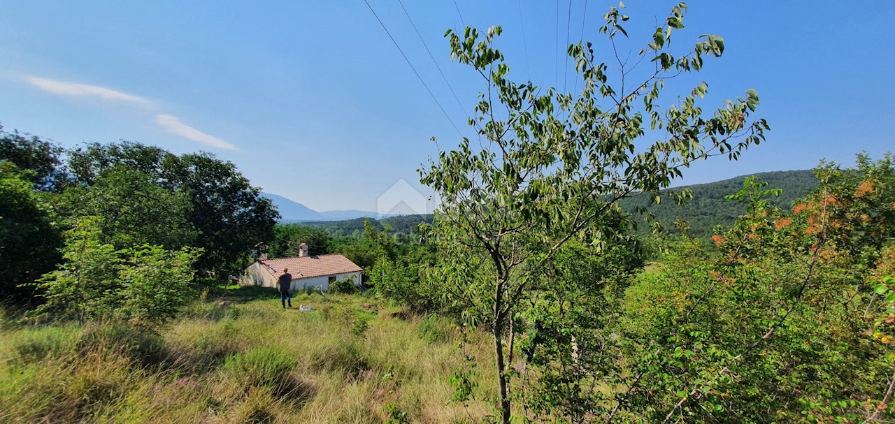 Šušnjevica, Kršan, 3.742m2