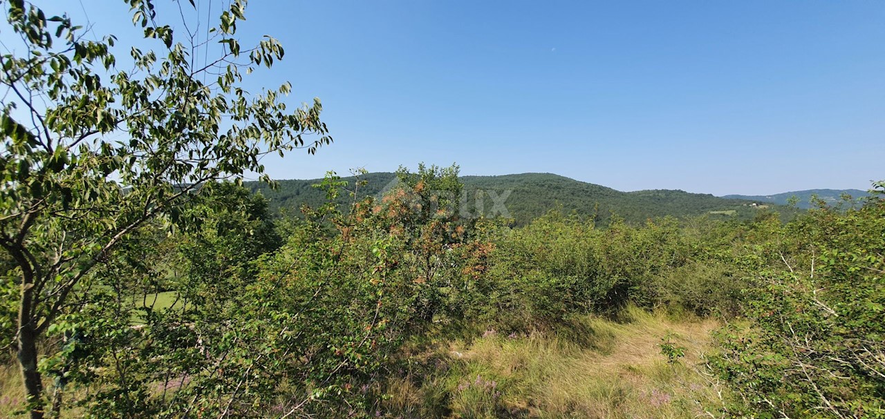 Šušnjevica, Kršan, 3.742m2