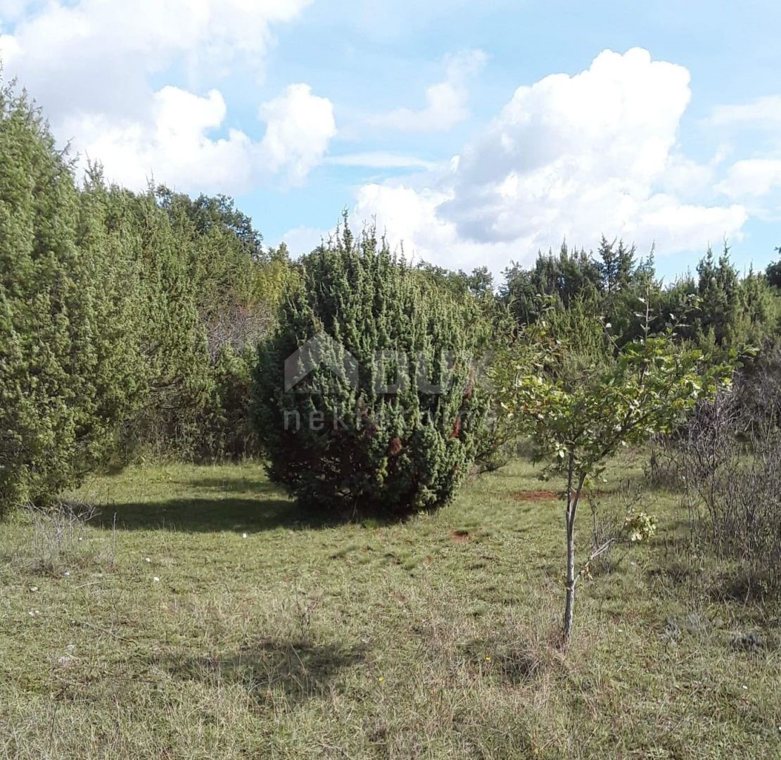 Zemljišče Juršići, Svetvinčenat, 5.935m2