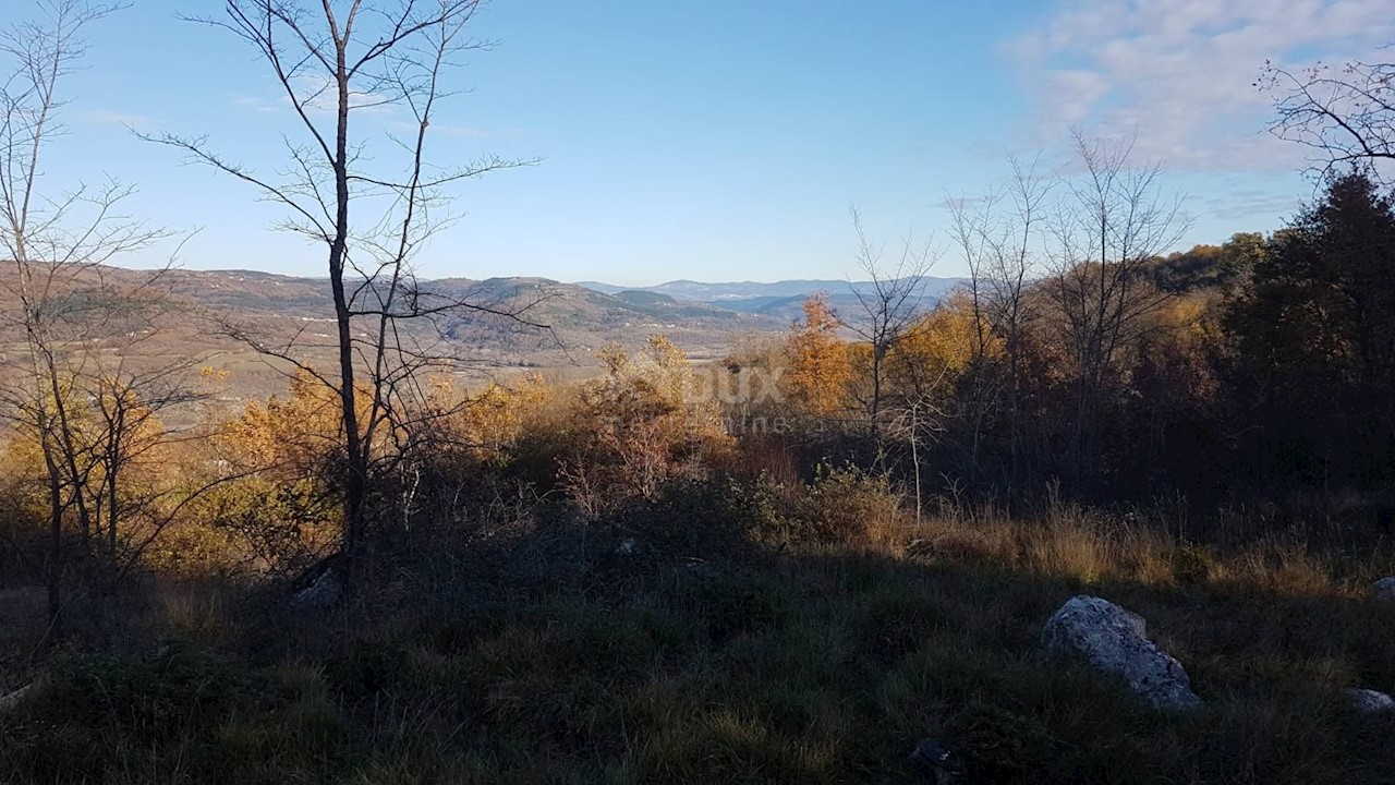 Vižinada, 5.261m2