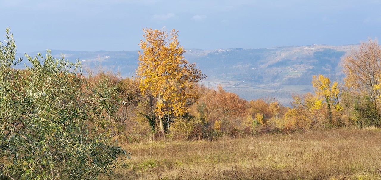 Vižinada, 5.261m2
