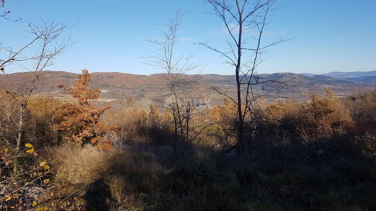 Vižinada, 5.261m2