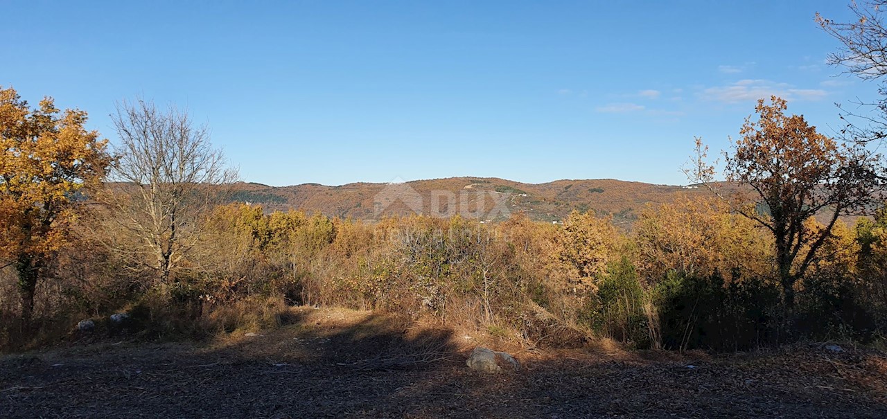 Vižinada, 5.261m2