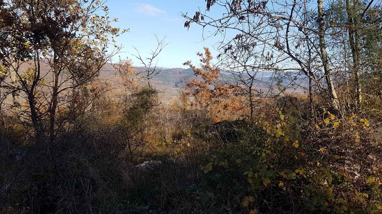 Vižinada, 5.261m2