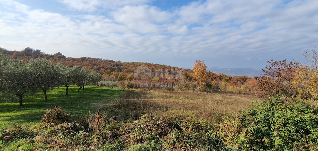 Vižinada, 5.261m2