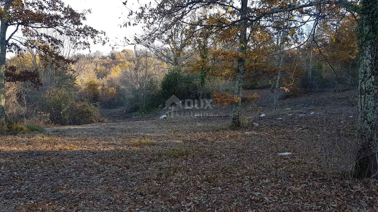 Vižinada, 5.261m2