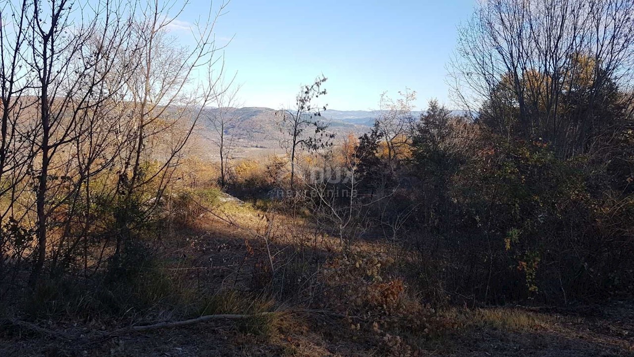 Vižinada, 5.261m2