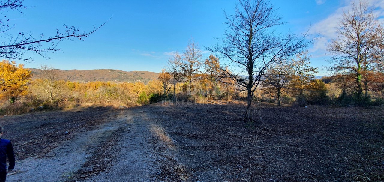 Vižinada, 5.261m2