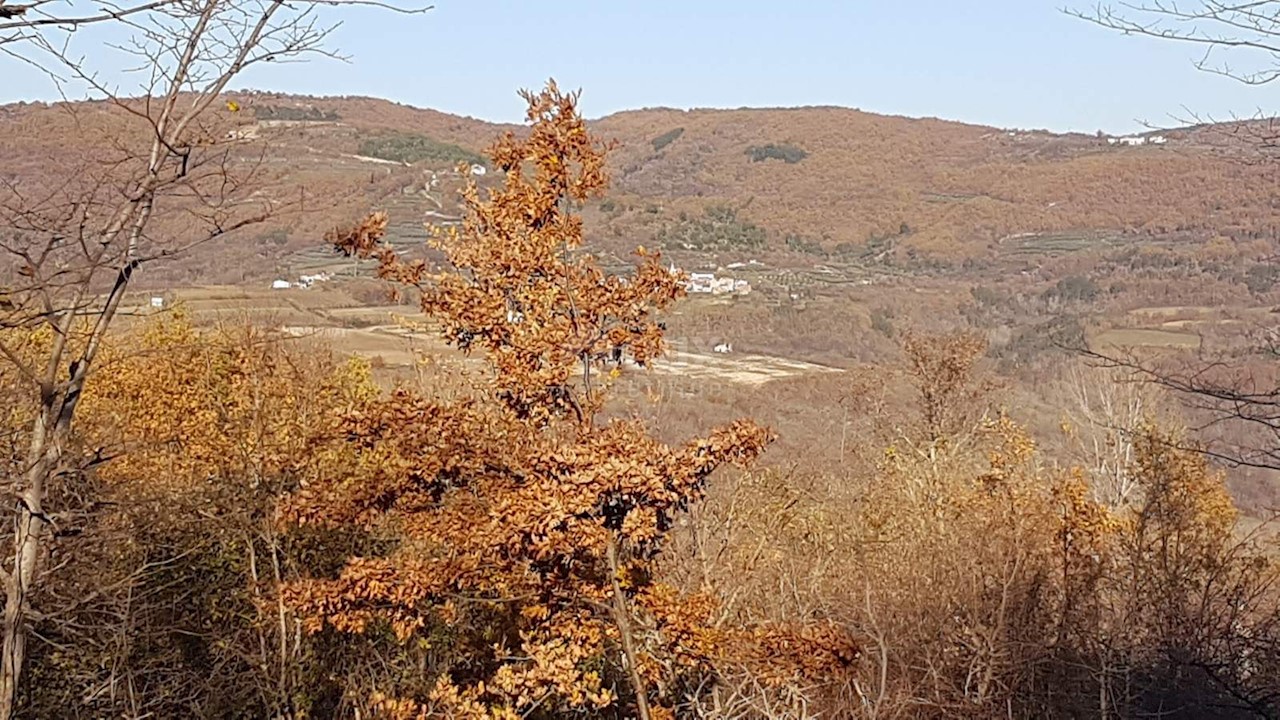 Vižinada, 5.261m2