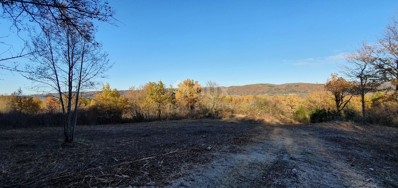 Vižinada, 5.261m2
