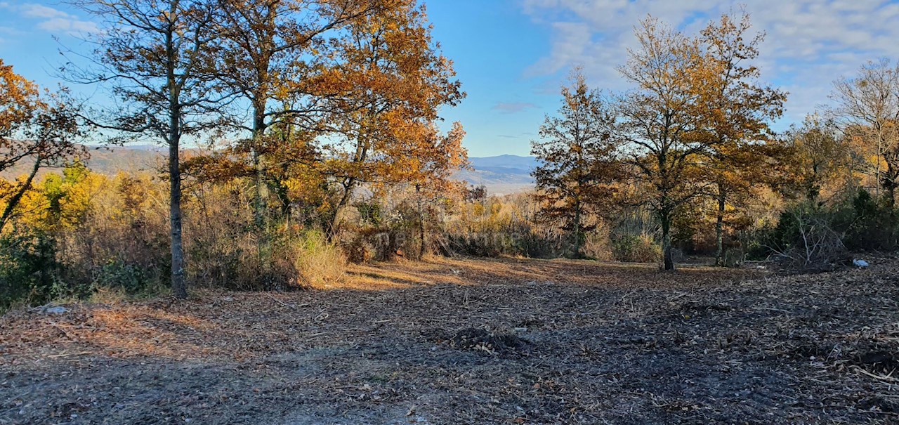 Vižinada, 5.261m2