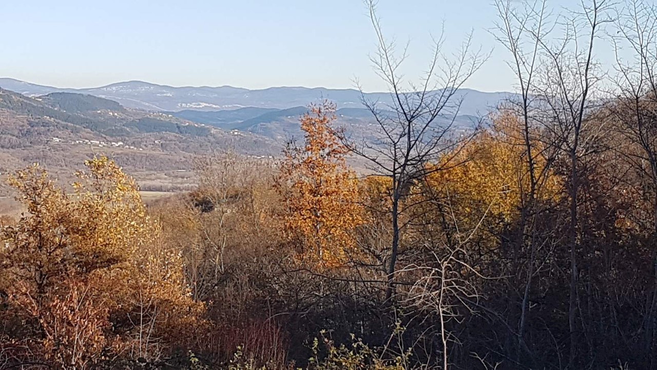Vižinada, 5.261m2