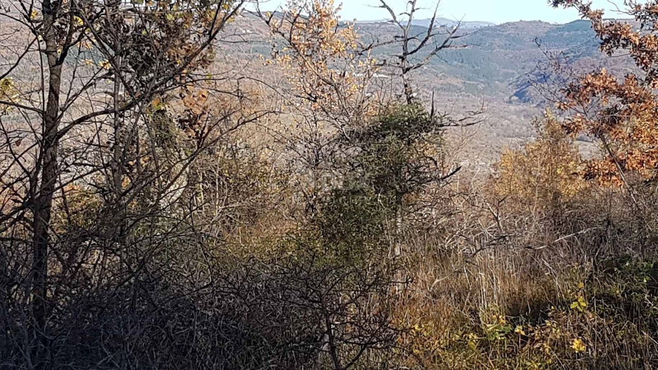 Vižinada, 5.261m2