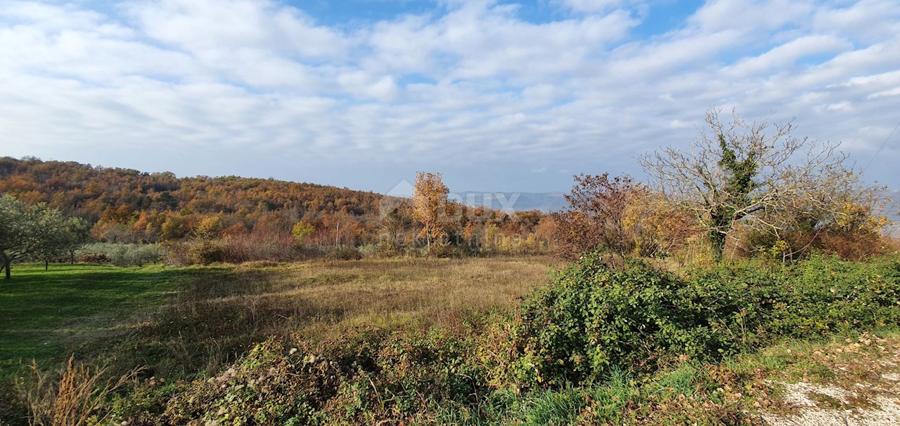 Vižinada, 5.261m2