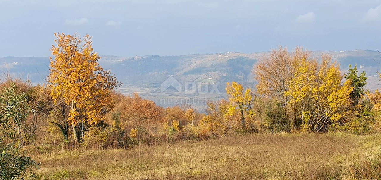 Vižinada, 5.261m2