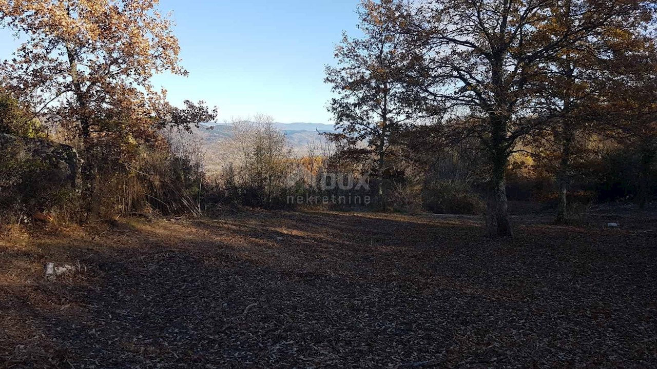 Vižinada, 5.261m2