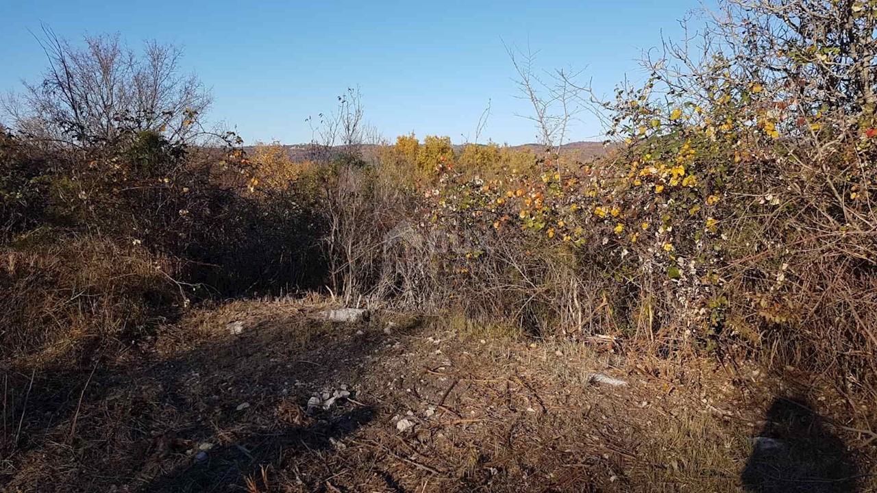Vižinada, 5.261m2
