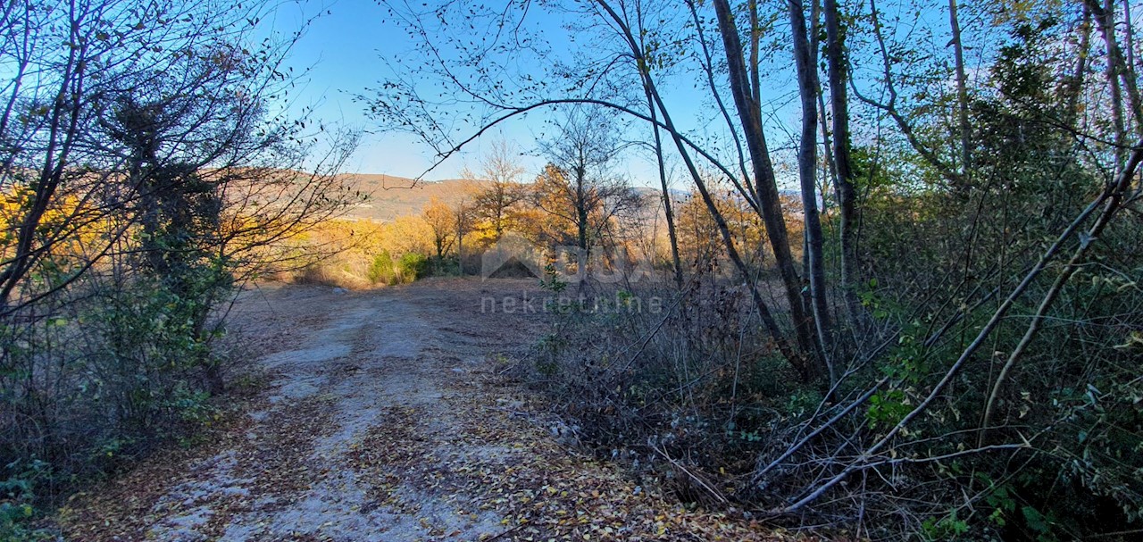 Vižinada, 5.261m2