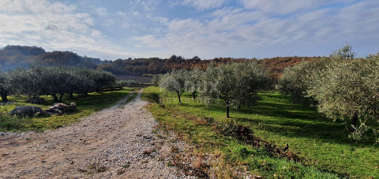 Vižinada, 5.261m2