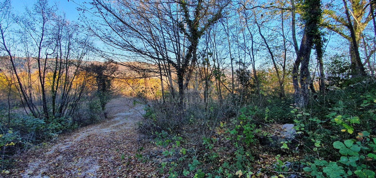 Vižinada, 5.261m2