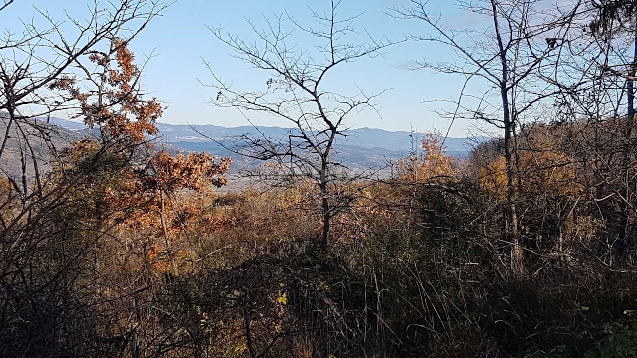 Vižinada, 5.261m2