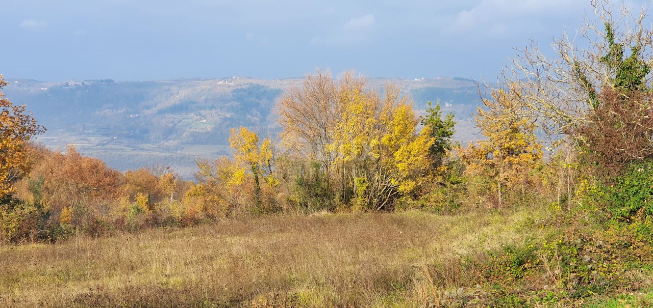 Vižinada, 5.261m2