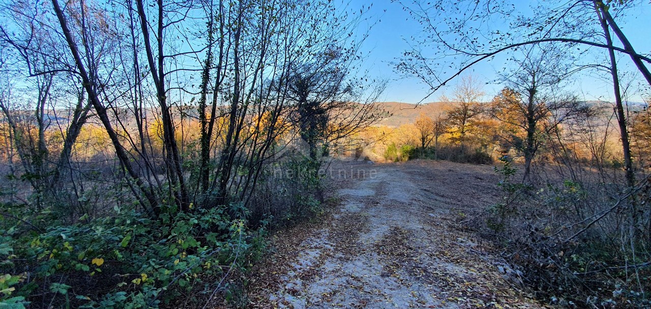 Vižinada, 5.261m2