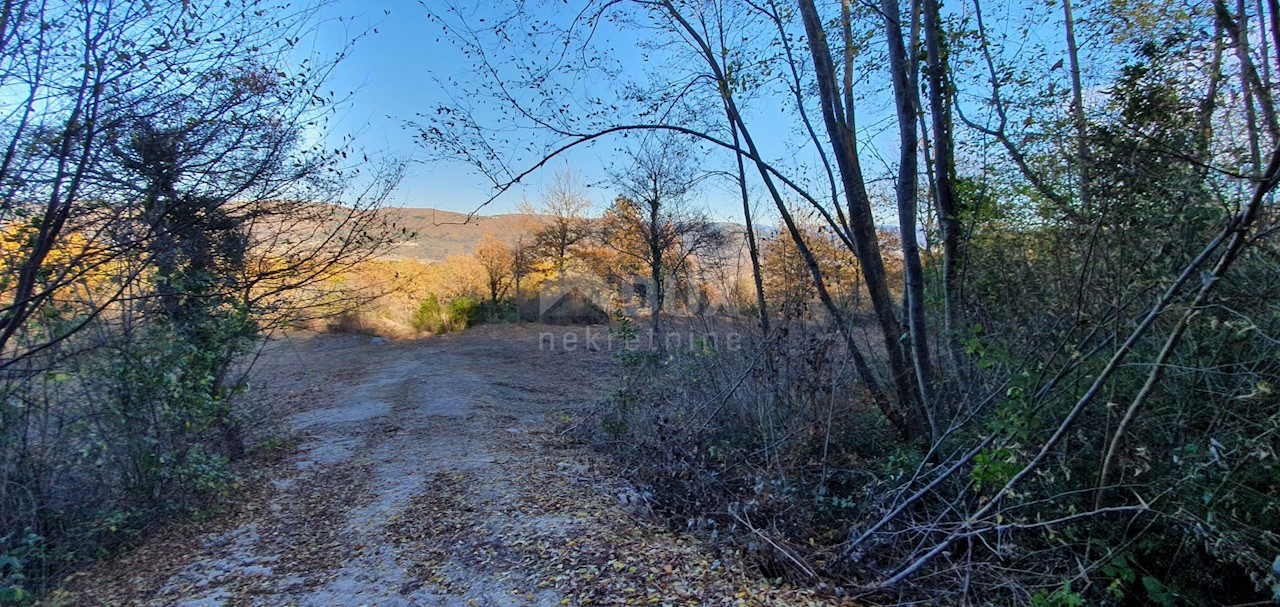 Vižinada, 5.261m2