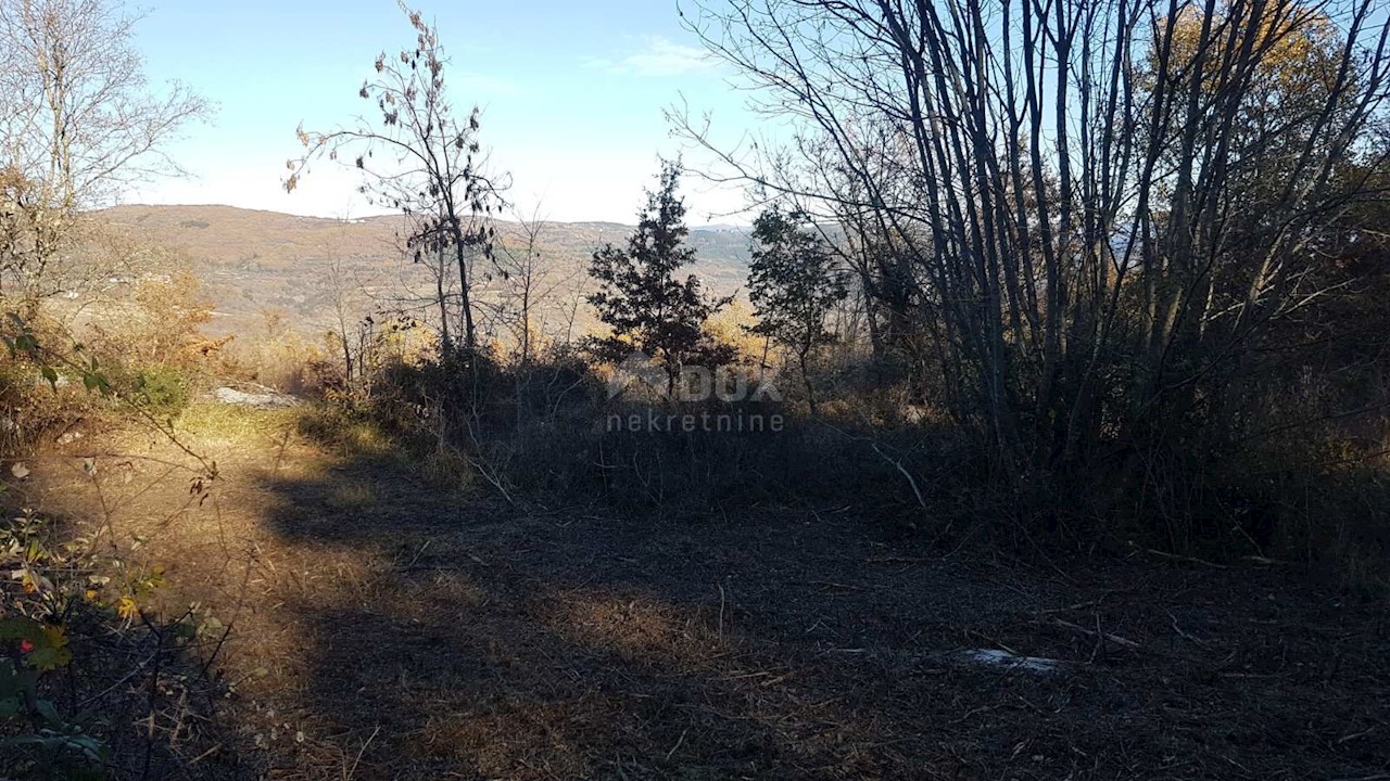Vižinada, 5.261m2