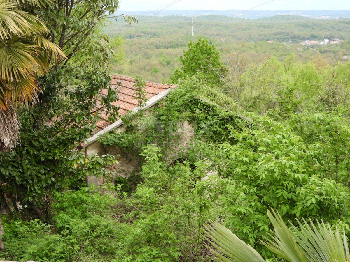 MATULJI, KUĆELI - zemljišče 12.000 m2 (cca. 6700 m2 gradbeno) s pogledom na morje + 3 starine 220 m2