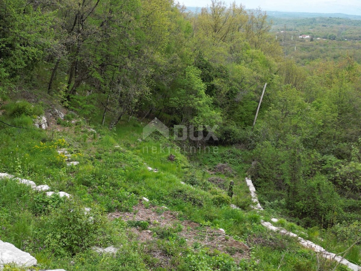 MATULJI, KUĆELI - zemljišče 12.000 m2 (cca. 6700 m2 gradbeno) s pogledom na morje + 3 starine 220 m2