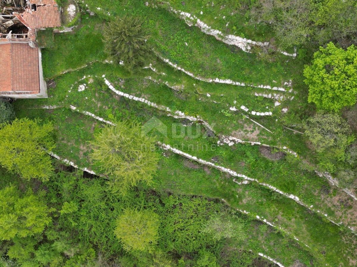 MATULJI, KUĆELI - zemljišče 12.000 m2 (cca. 6700 m2 gradbeno) s pogledom na morje + 3 starine 220 m2